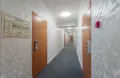 Миниатюра 10