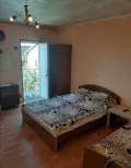Миниатюра 9