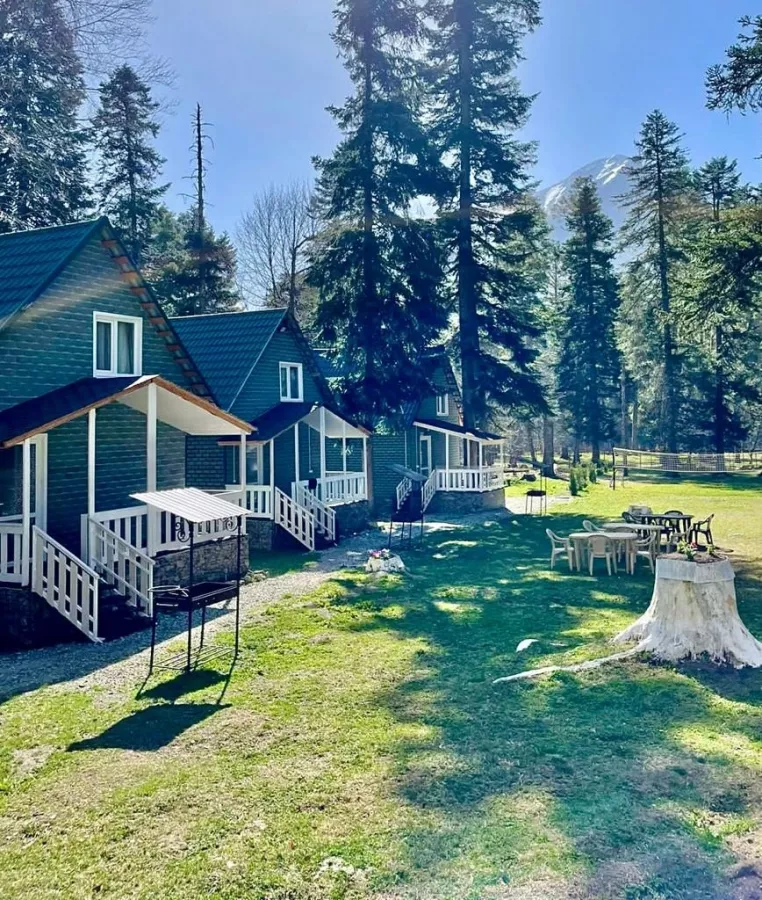 Гостиница Green House в Архызе: Гостиница, Отель,