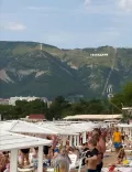 Миниатюра 6