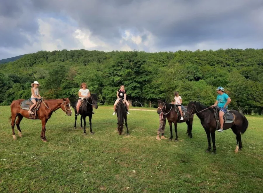 Жокей Конные Прогулки в Геленджике: Прогулка, Кони, Животные,