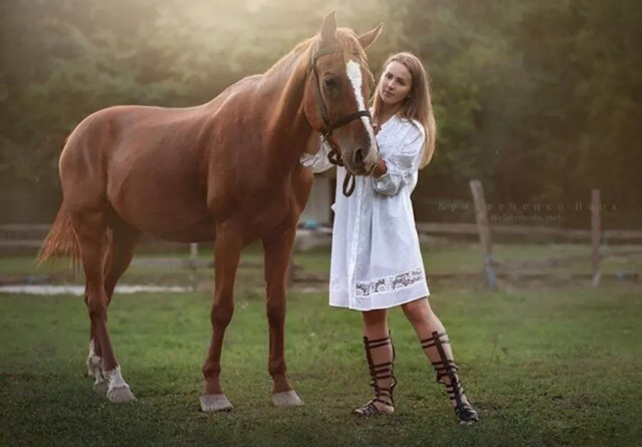 Жокей Конные Прогулки в Геленджике: Прогулка, Кони, Животные,