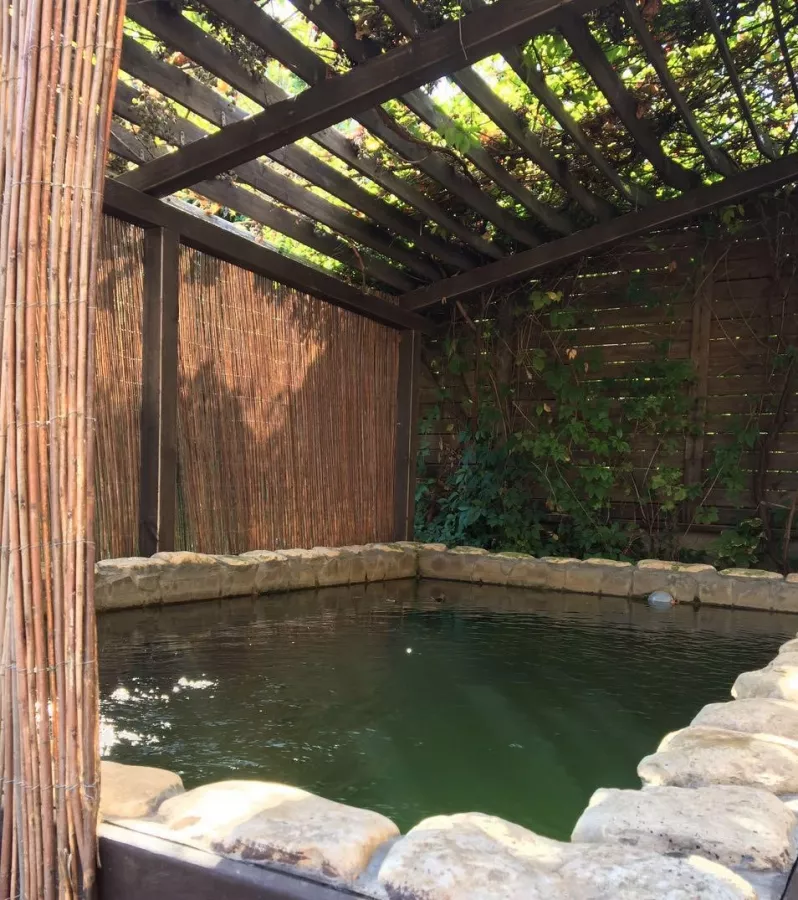 Банный комплекс Родник в Ростове-на-Дону: Легкий пар, Сауна, Бассейн, SPA,