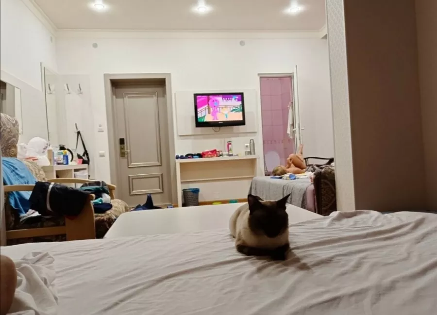 Гостиница Акрополь в Дивноморском в Геленджике: Гостиница, Бар, Ресторан,