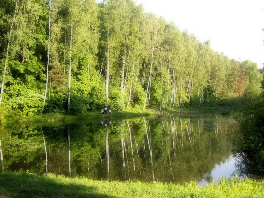 Биpюлeвcкий дeндpoпapк в Москве: Парк, Дендрарий, Бирюлёво,