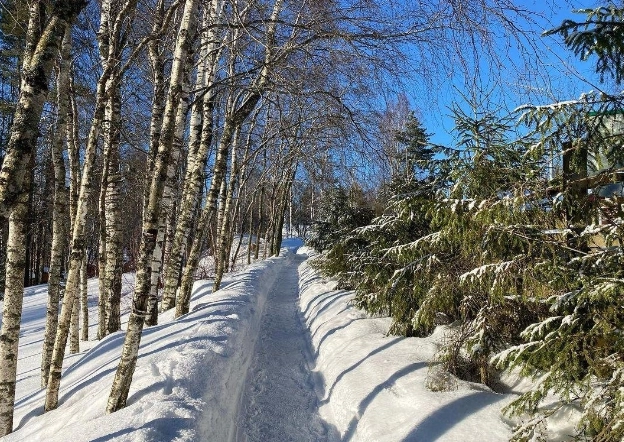 Горнолыжный комплекс Золотая долина в Санкт-Петербурге: Лыжи, Сноуборд, Отдых, Хобби,