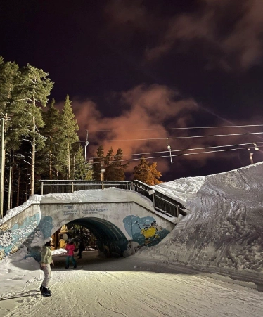 Горнолыжный комплекс Золотая долина в Санкт-Петербурге: Лыжи, Сноуборд, Отдых, Хобби,