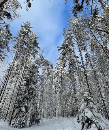 Горнолыжный комплекс Золотая долина в Санкт-Петербурге: Лыжи, Сноуборд, Отдых, Хобби,
