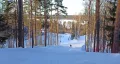 Миниатюра 8