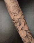 Миниатюра 8