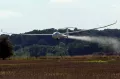 Миниатюра 8
