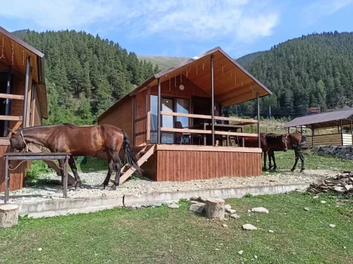 Лоджи Arkhyz Family Lodge в Архызе
