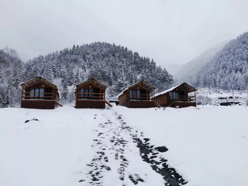 Лоджи "Arkhyz Family Lodge"