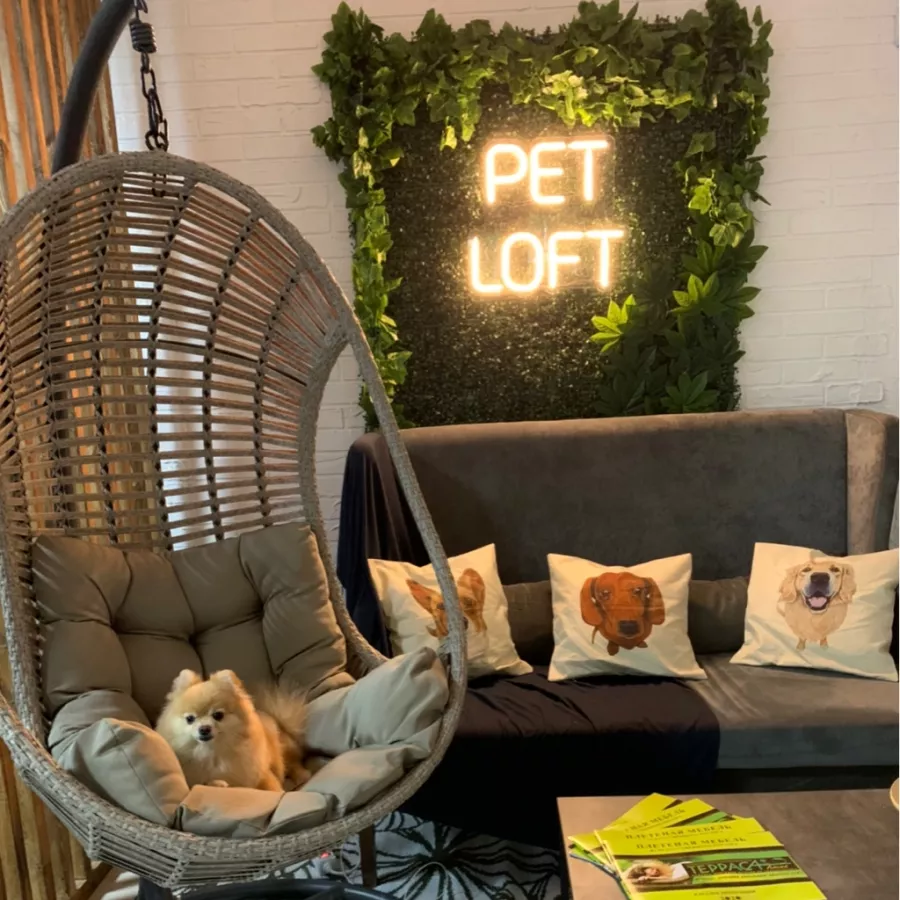 Зоосалон The Pet Loft в Ростове-на-Дону: Зоосалон, Животные,