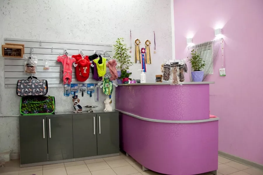 Зоосалон Chaika Groom в Ростове-на-Дону: Зоосалон, Зоопарикмахерская,