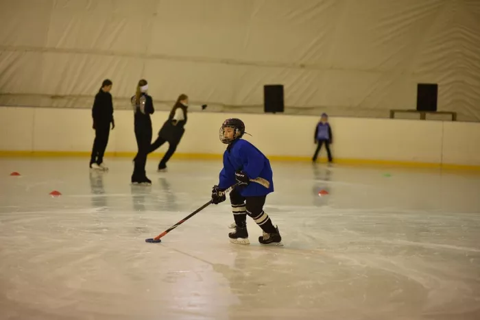 Каток "Ледоград"