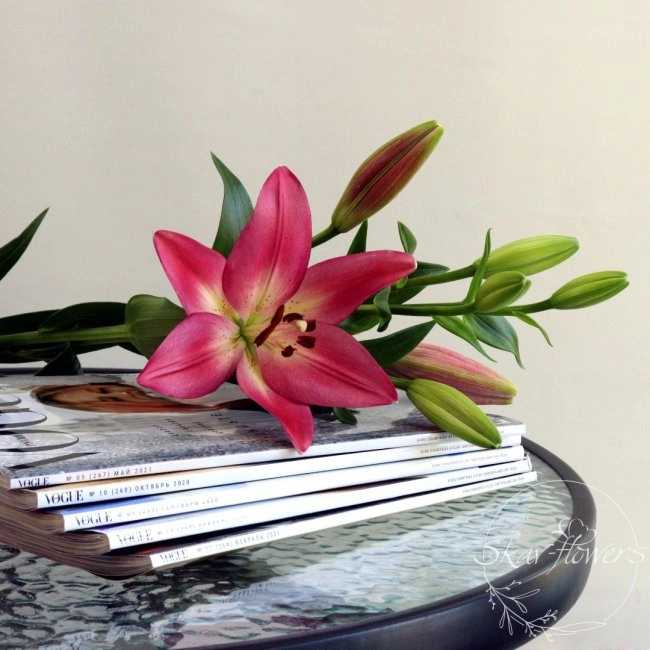 Цветы Геленджик Skav-Flowers в Геленджике: Доставка цветов, Цветы Геленджик, Живые цветы,