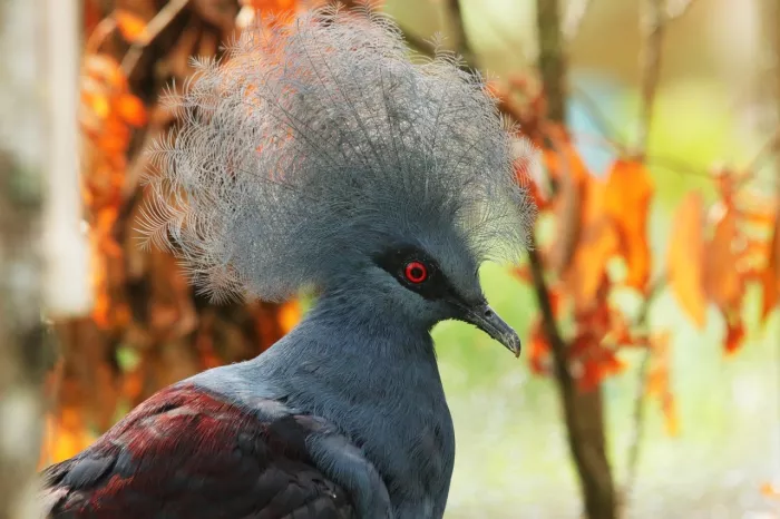 Ленинградский зоопарк