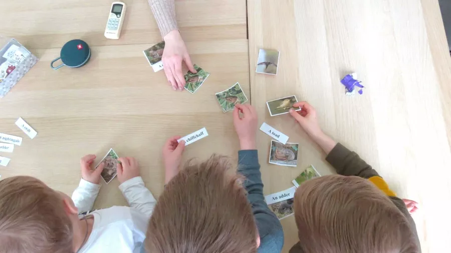 Языковые курсы Good Zone в Ростове-на-Дону: Английский язык, Учимся,