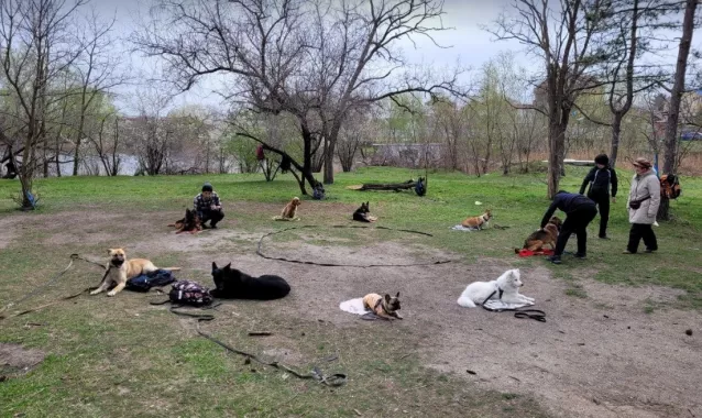 Школа дрессировки собак "Радар"