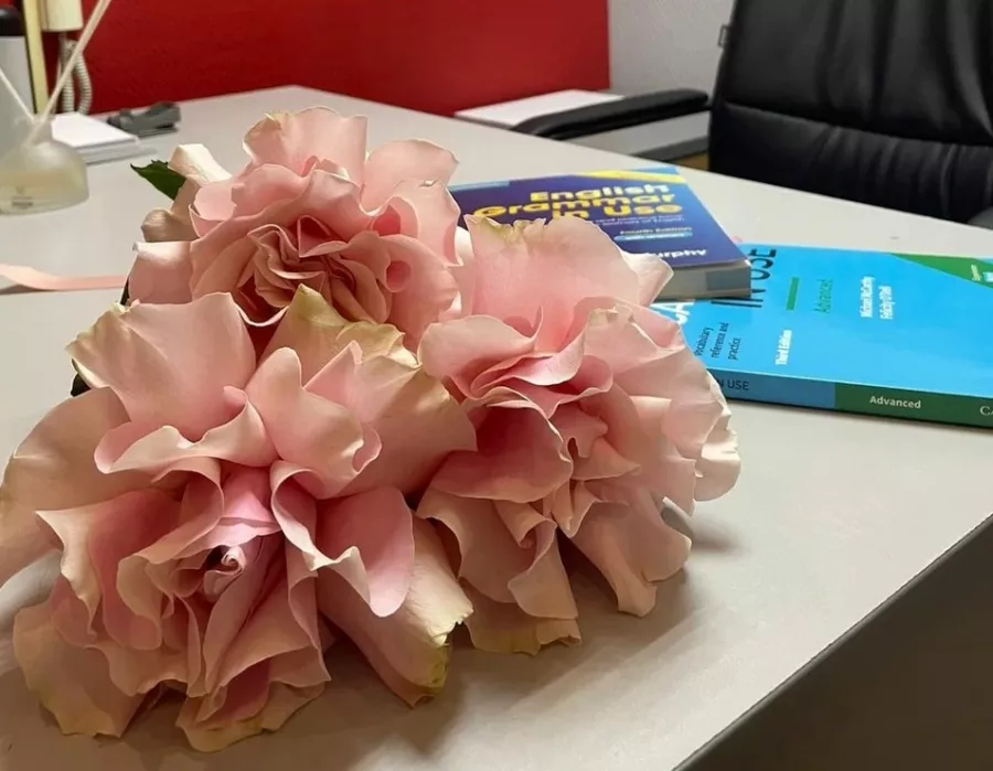English Academy Белозерцевой Марины в Ростове-на-Дону: Английский язык, Школа, Учимся,