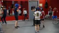 Миниатюра 9