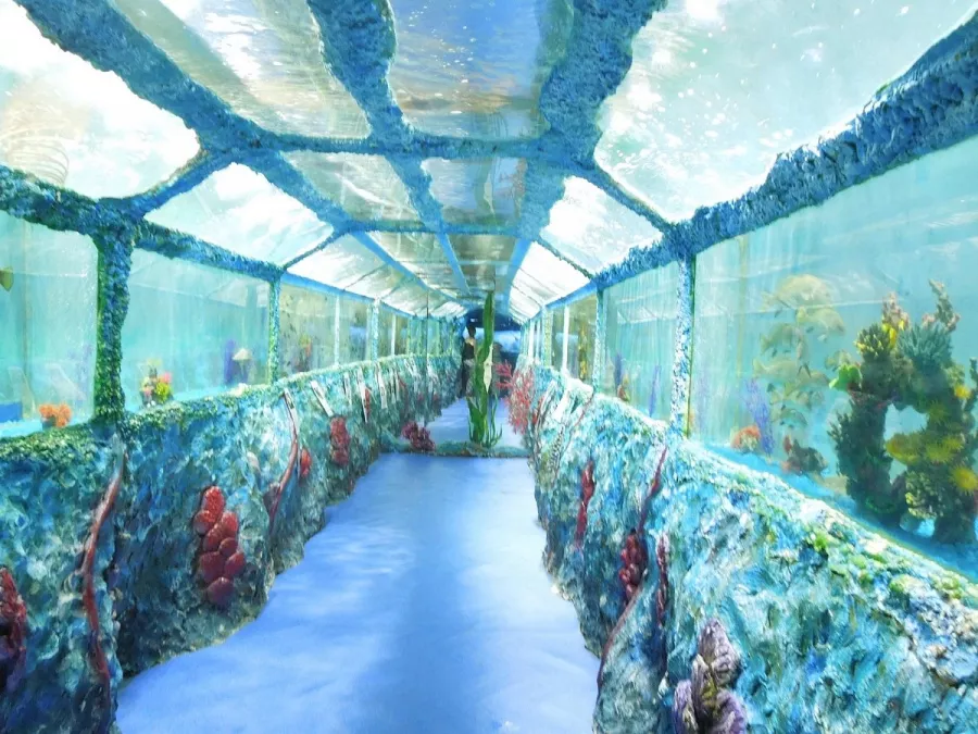 Океанариум в Геленджике: Океанариум, Животные,