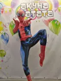Миниатюра 5
