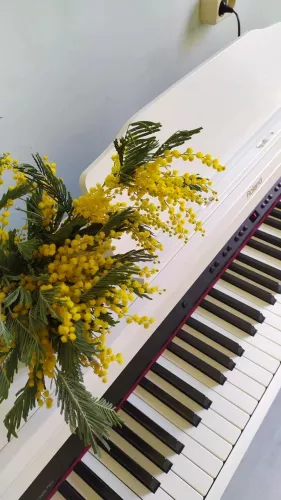 Уроки игры на фортепиано Antoninapiano  в  Ростове-на-Дону