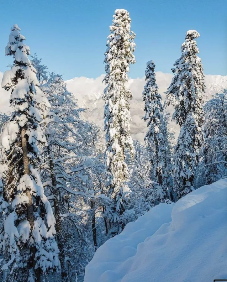 Прокатная компания  Красная Поляна в Красной Поляне: Прокат, Лыжи, Сноуборд, Хобби,