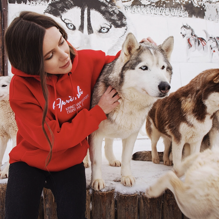 Хаски-центр в Красной Поляне: Животные,