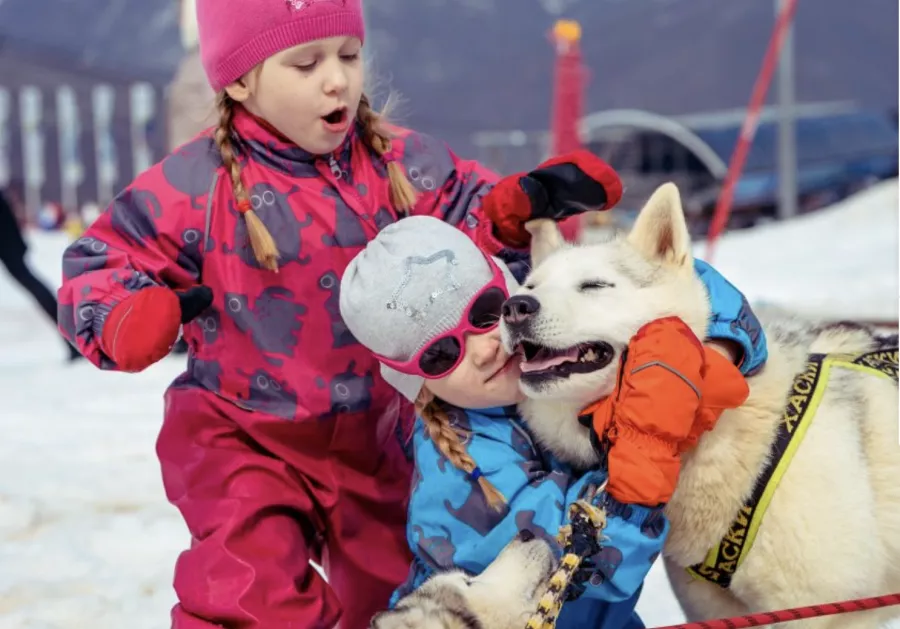 Хаски-центр в Красной Поляне: Животные,