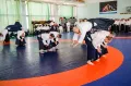 Миниатюра 8