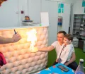 Миниатюра 9