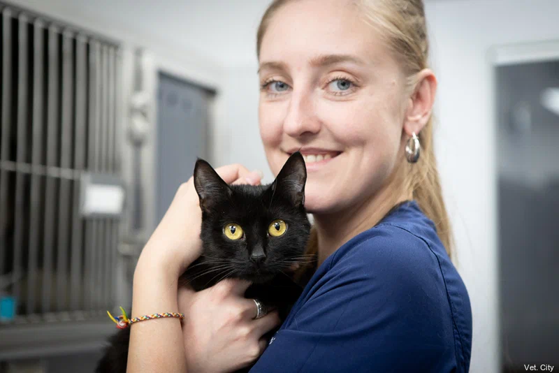 Ветклиника Vetcity Clinic в Москве: Ветклиника, ВетВрачи, ВетСтационар, ВетЛаборатория,