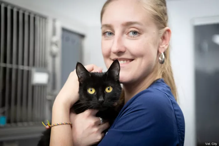 Ветклиника Vetcity Clinic  в  Москве