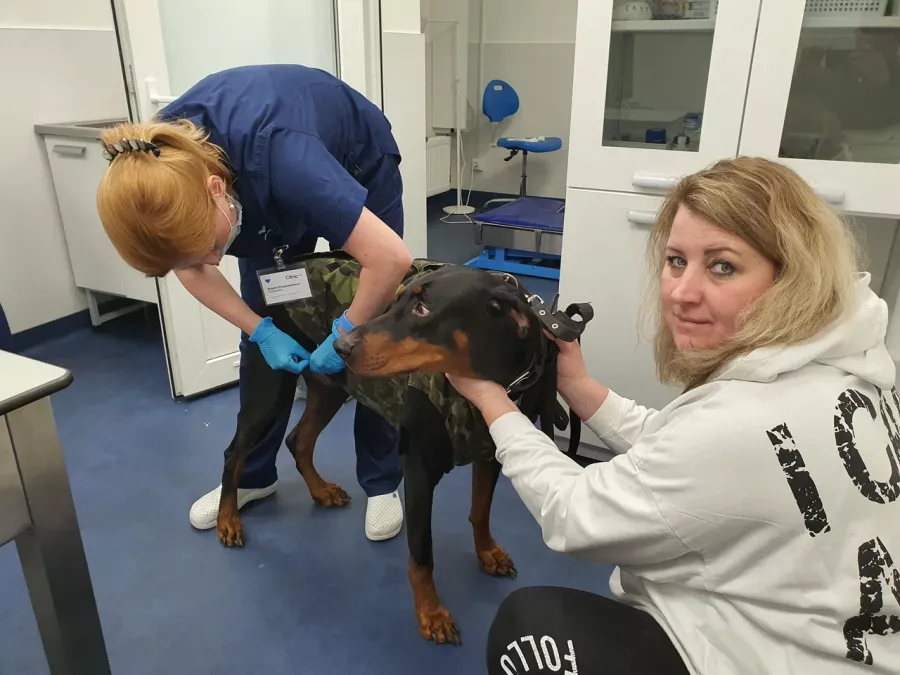 Ветклиника Vetcity Clinic в Москве: Ветклиника, ВетВрачи, ВетСтационар, ВетЛаборатория,