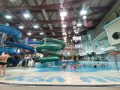 Миниатюра 12