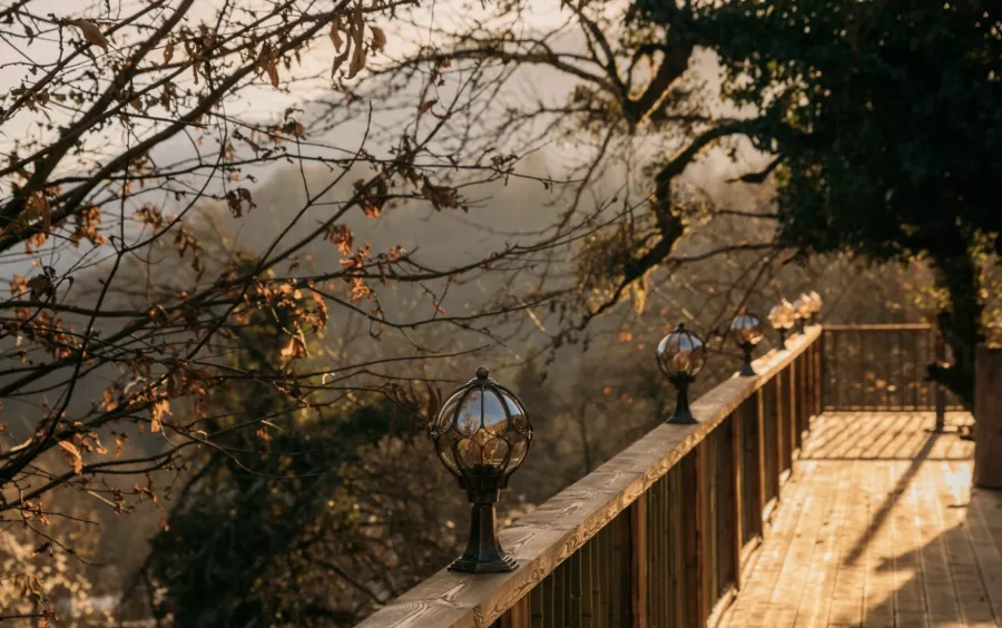 Баня Hills Medoveevka в Красной Поляне: Баня,