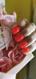 Миниатюра 9
