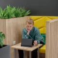 Миниатюра 5