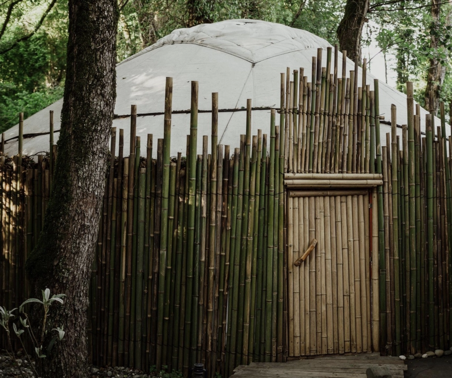 Банно-оздоровительный центр "Место силы"