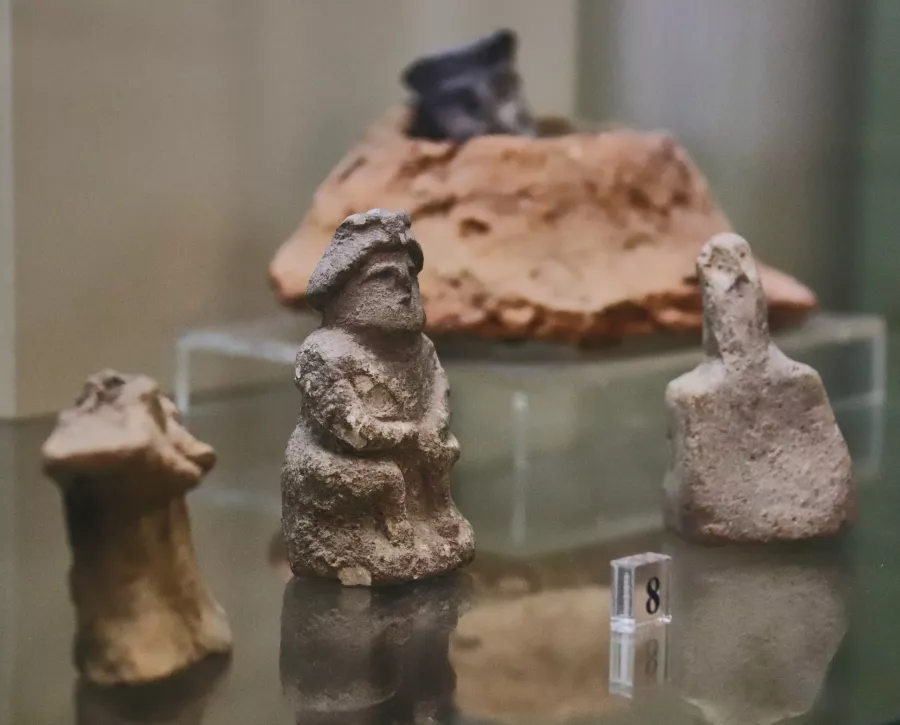 Краснодарский государственный историко-археологический музей-заповедник имени Е.Д. Фелицына в Краснодаре: Музей, История, Культура, Посмотреть, Мастер-классы, Экспозиции, Лекции, Экспонаты, Пушкинская карта,