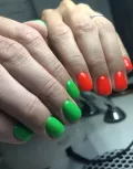 Миниатюра 12