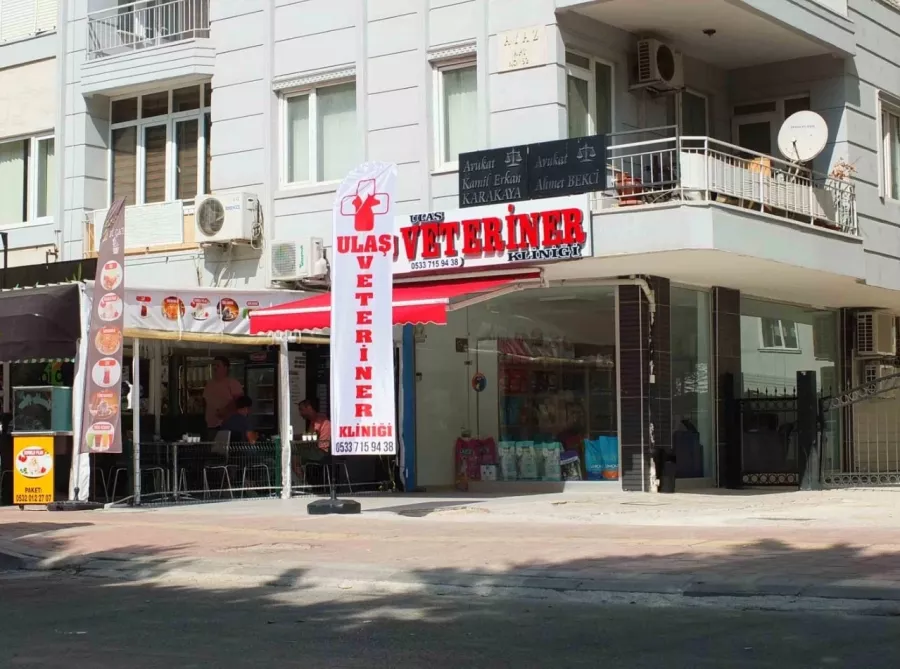 Ulaş Ветеринарная клиника в Анталии: Животные,