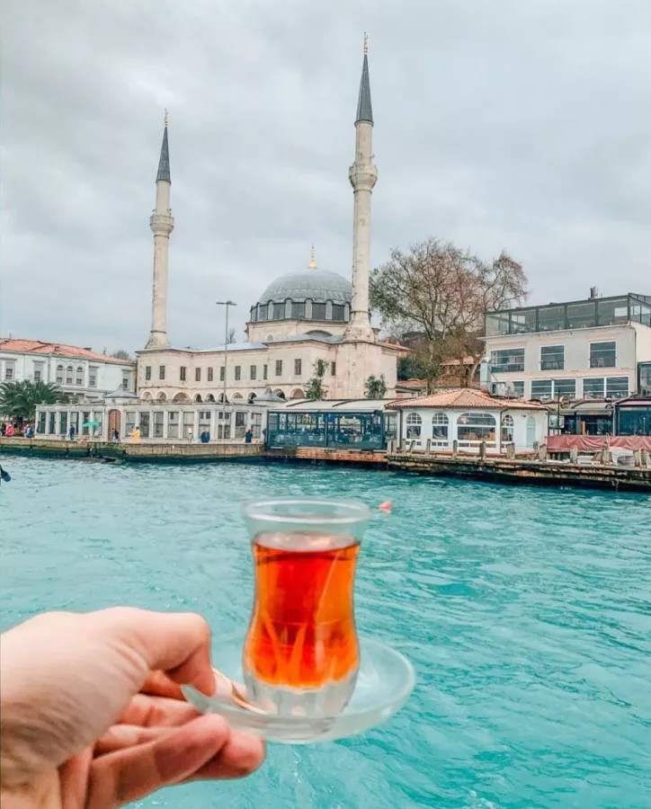 Аренда яхты Amesin в Стамбуле: Аренда яхты, Люкс яхта, Фотосессия, Фрукты, Турецкий чай, Босфор, До 15 человек,
