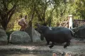 Миниатюра 8