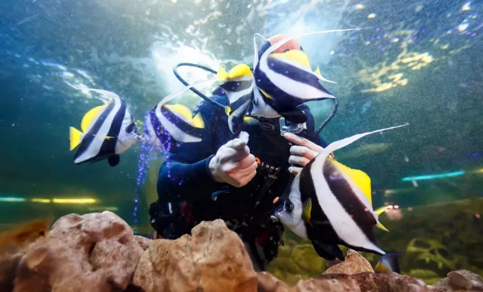 Океанариум "ОКЕАН ПАРК"