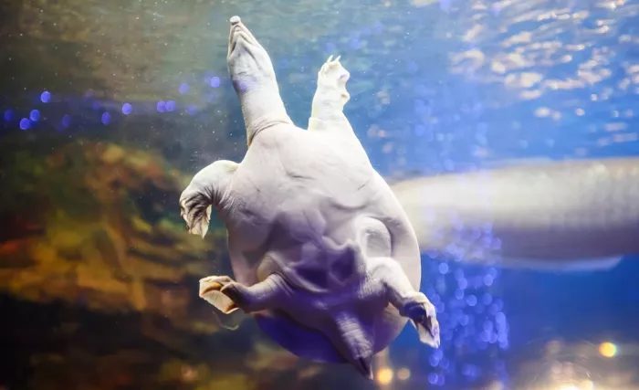 Океанариум "ОКЕАН ПАРК"