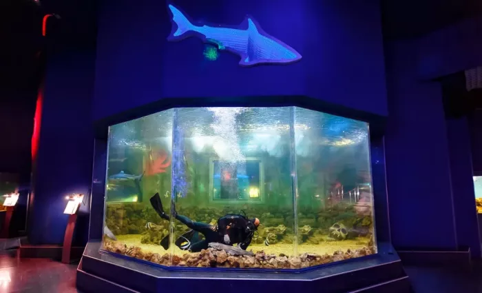 Океанариум "ОКЕАН ПАРК"